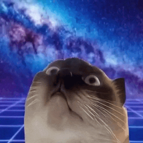 merv the cat (MERV) token icon