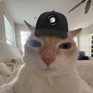 Meteora Cat (METCAT) token icon
