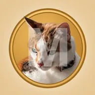 Mikacoin (MIKA) token icon