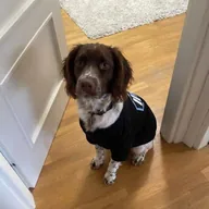 Arbitrum Dog (MILES) token icon