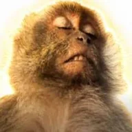 Relaxed Monkey (MONAMI) token icon