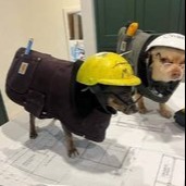 monitoring the situation (MONITORING) token icon