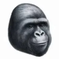 4Chan Monkey (MONKEY) token icon