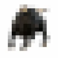 moo (MOO) token icon