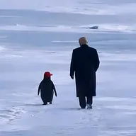 Make Penguin Great Again (MPGA) token icon