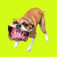 Leaf Blower Dog (MUDPIE) token icon