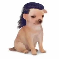 mullet dog (MOG) token icon