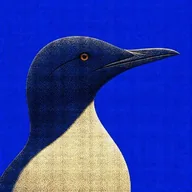 murre (MURRE) token icon