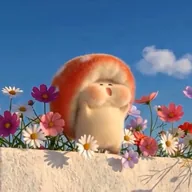 mushroom tutu (TUTU) token icon