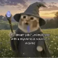 Mysterious Source Of Income Cat (INCOME) token icon