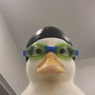 Nasduck (NASDUCK) token icon