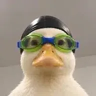 Nasduck (NASDUCK) token icon