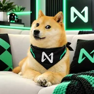 NEARDOGE (NEARDOGE) token icon