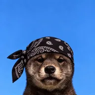 Nigga Inu (NI) token icon
