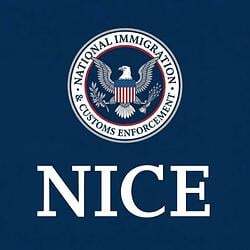 NICE (NICE) token icon