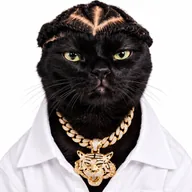 Nigga Cat (NIGGACAT) token icon