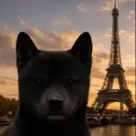 Niggas In Paris (NIP) token icon