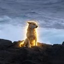 마라도의 파수꾼 (NOORUNG) token icon