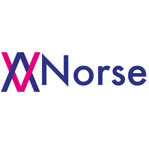 Norse (NORSE) token icon