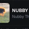 Jimothy Real Name (NUBBY) token icon