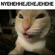 NYEHEHHEJEHEJEHEHE (NYEHEHE) token icon