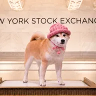 NYSEDOG (NYSEDOG) token icon