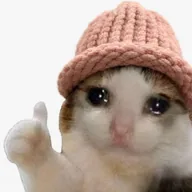 ok wif hat (OKWIF) token icon