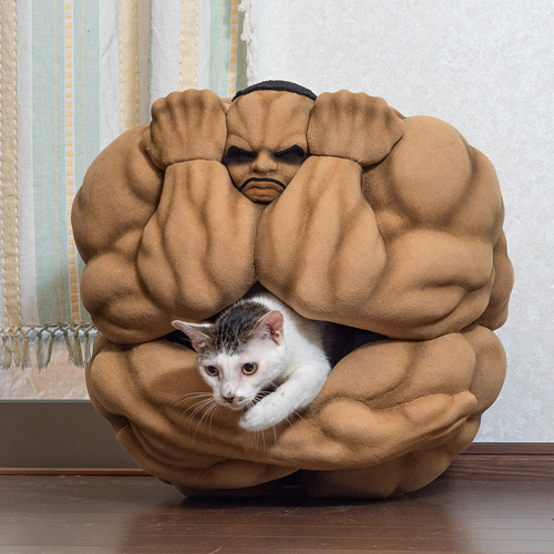 オリバボール (OLIVA) token icon