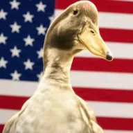 Olivia The Duck (OLIVIA) token icon