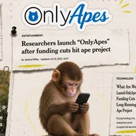 OnlyApes (ONLYAPES) token icon
