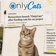 OnlyCats (ONLYCATS) token icon