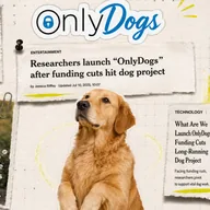OnlyDogs (ONLYDOGS) token icon