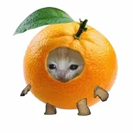 OrangeCAT (ORANGECAT) token icon