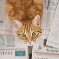 Wall Street Cat (ORLANDO) token icon