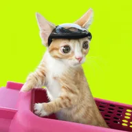 catwifhelmet (OTTER) token icon
