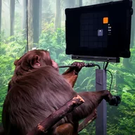 Neuralink Monkey Pager (PAGER) token icon