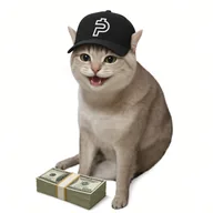 PAIDCAT (PAIDCAT) token icon
