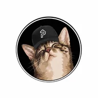 PAIDCATE (PAIDCATE) token icon