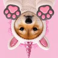 UNISWAP (PAWSINU) token icon