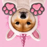 UNISWAP (PAWSINU) token icon