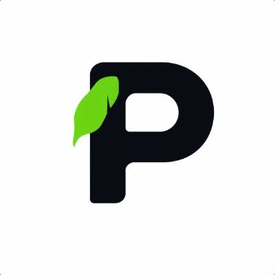 Payhood (PAYHOOD) token icon