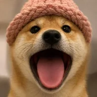popdogwifhat (PDWH) token icon