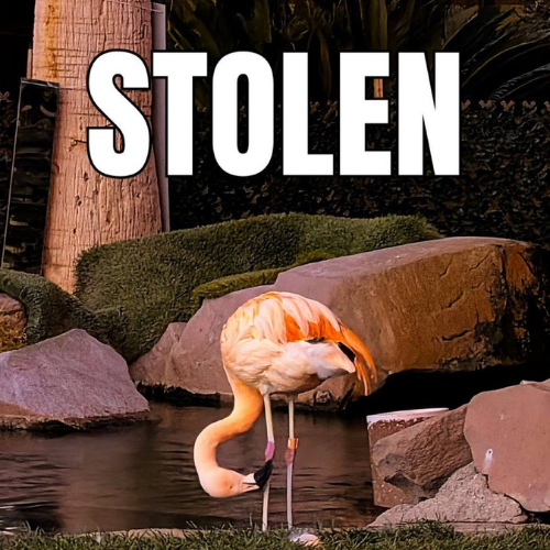 The Stolen Flamingo (PEACHY) token icon
