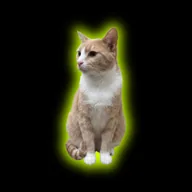 Nice Cat (PENNEY) token icon