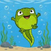 Peppy (PEPPY) token icon