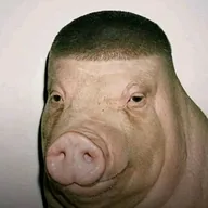 Wigger Pig (PIGGER) token icon
