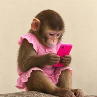 pink fone (PINKFONE) token icon