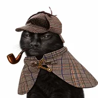 PIPECAT (PIPECAT) token icon