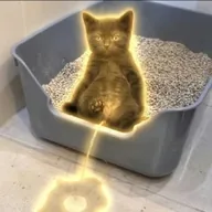 pisscat (PISSCAT) token icon