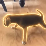 Piss Dog (PISSDOG) token icon
